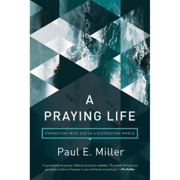 A Praying Life: Connecting with God in a Distracting World - Paul Miller, David Powlison